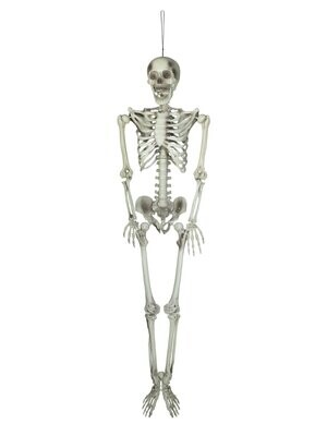 Esqueleto 150cm