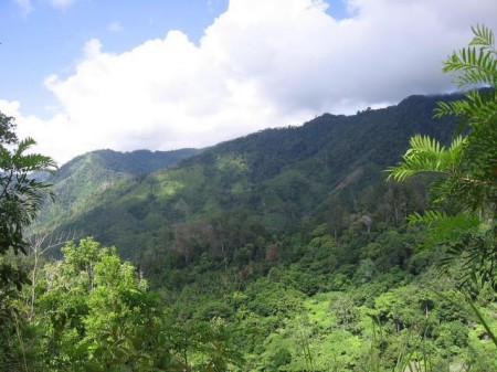 MPN&#39;s First Visit to Mt. Banahaw