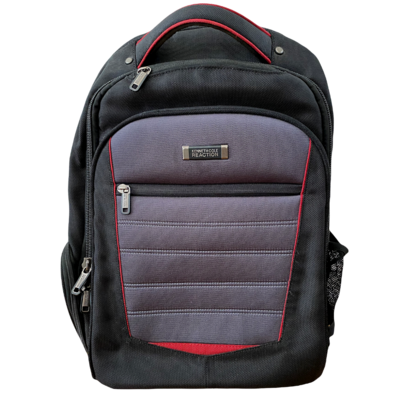 Kenneth Cole Reaction Large Backpack & Padded Laptop Compartment