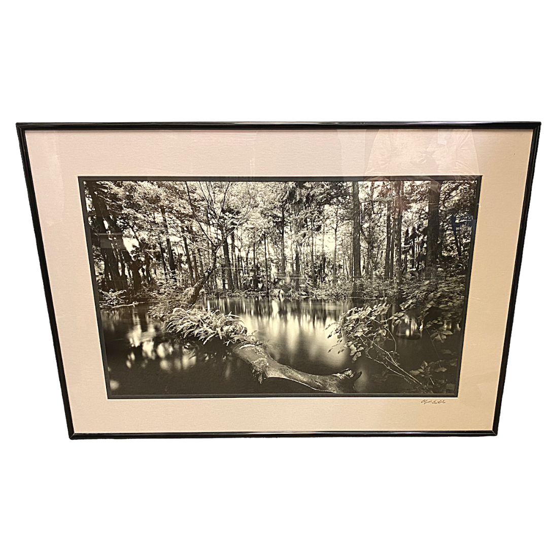 Legendary Photographer Clyde Butcher Tri-Tone Offset Landscape Print Professionally Framed Loxahatchee River #1