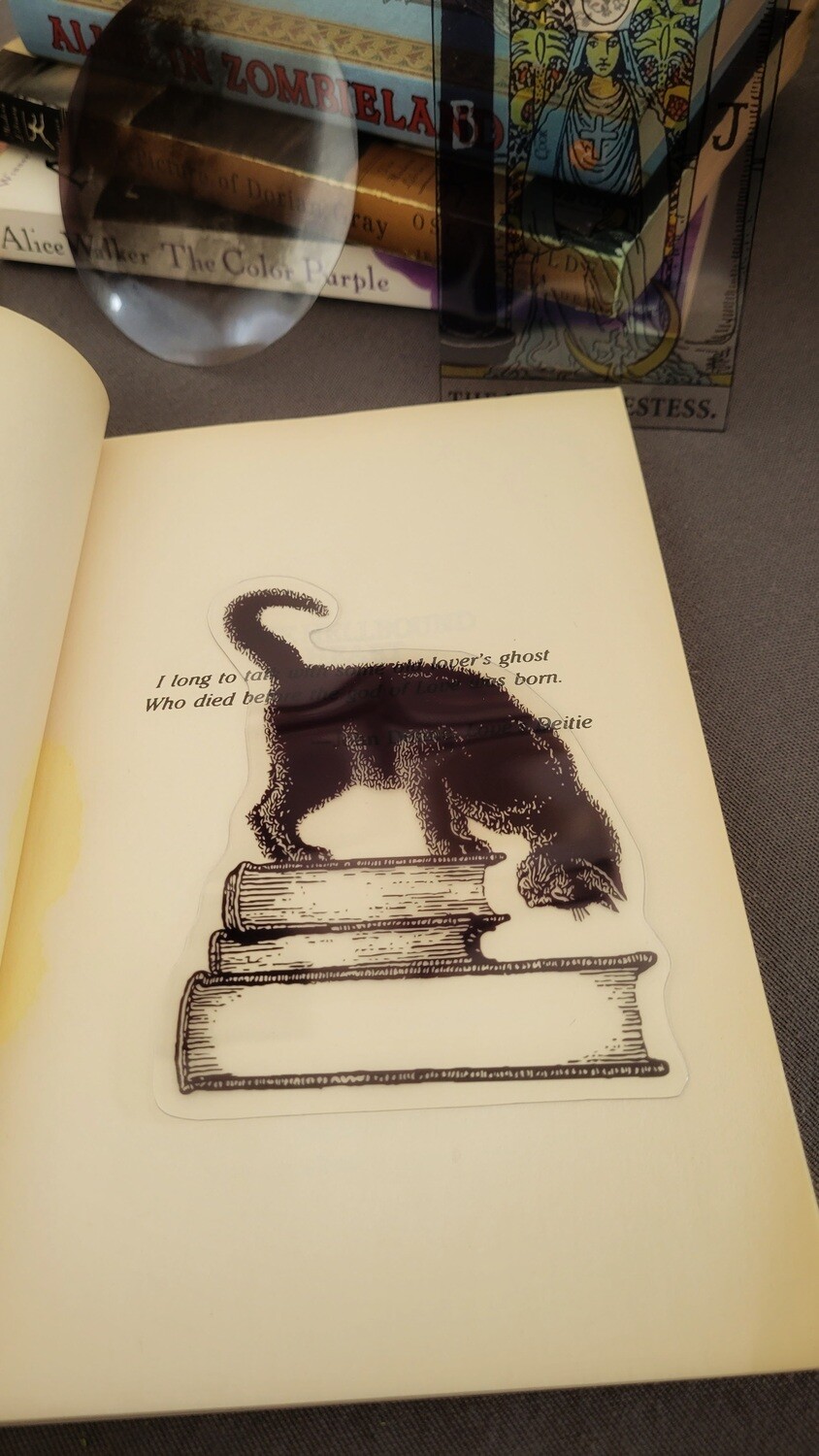 Transparent Black Cat &amp; Book Stack Bookmarks
