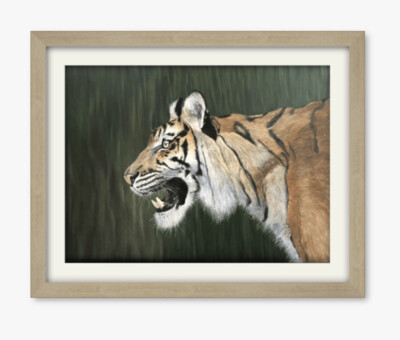 Tiger, Tiger, Burning Bright - Limited Edition Print