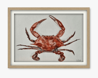 Croix de Crab - Limited Edition Print