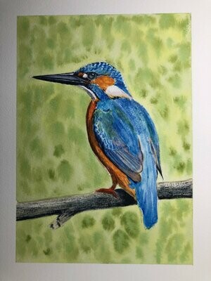 European Kingfisher - Original Watercolour Painting