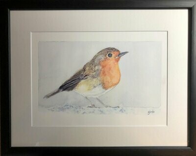 Winter Robin - Original Watercolour Painting