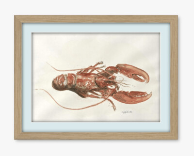 Lachy Lobster - Original Watercolour Painting