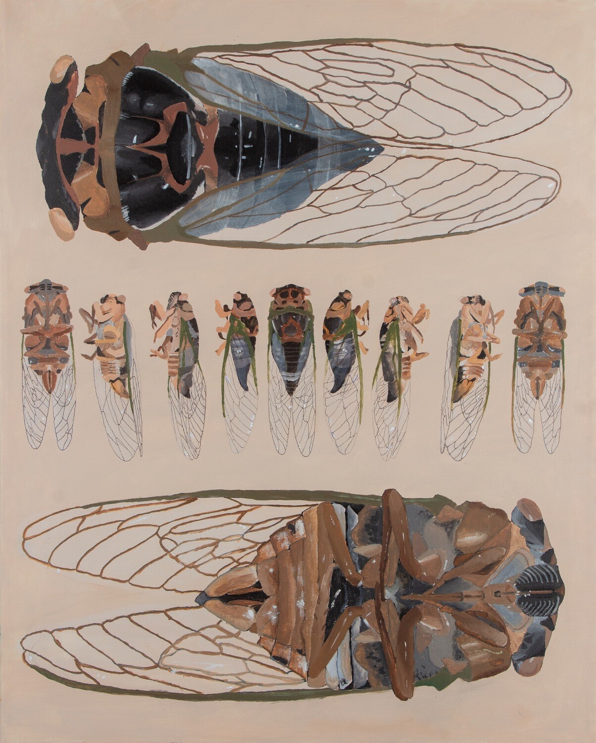 Cicada Print