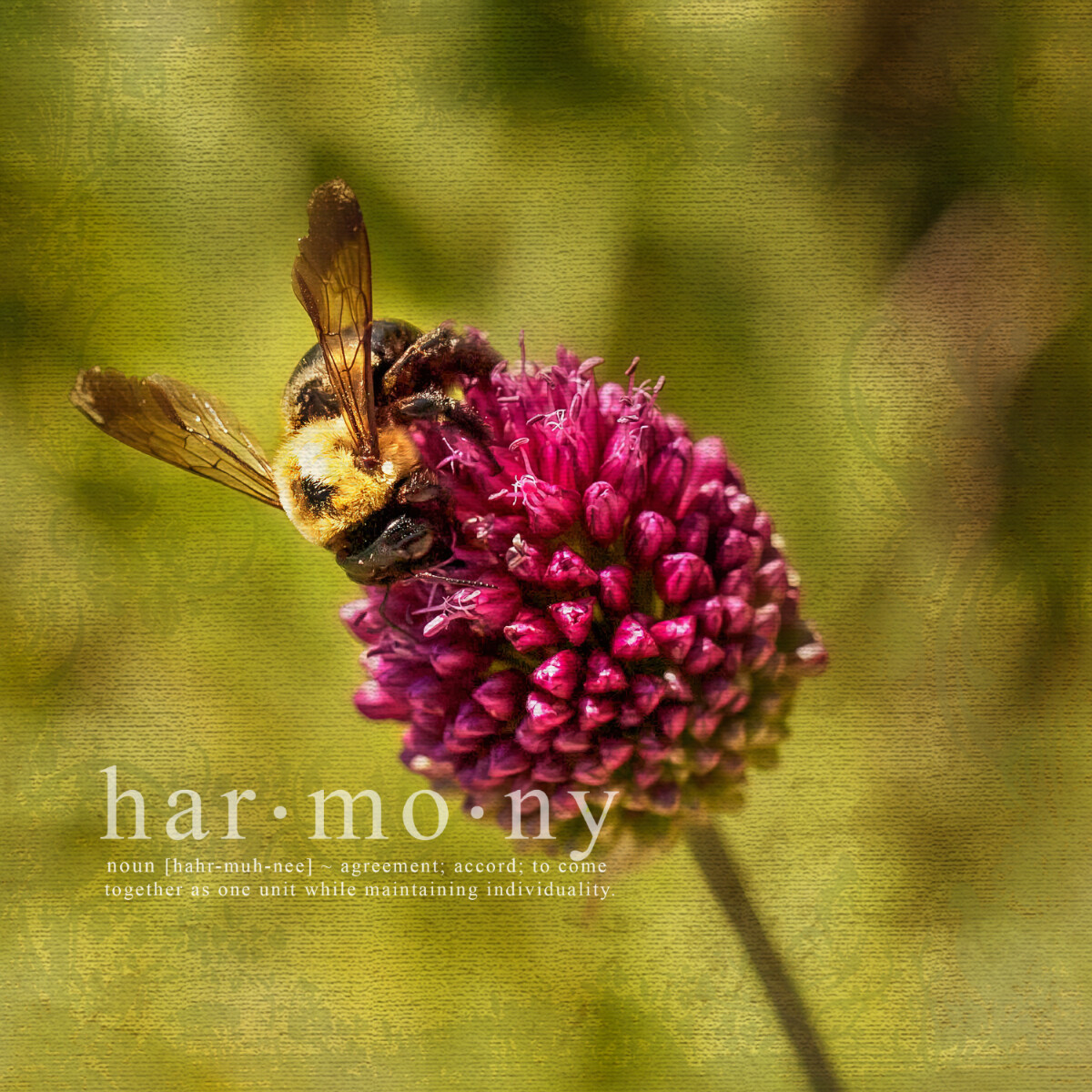 Bee on Clover with Word Art