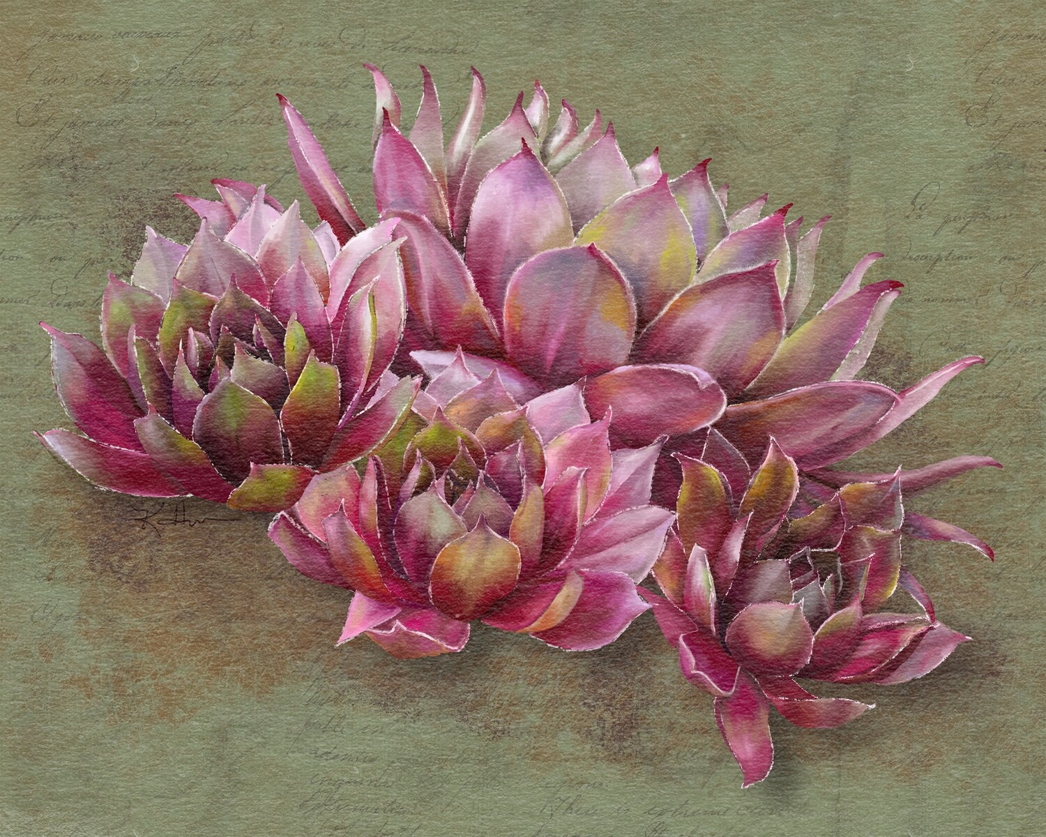 Succulent grouping  Painted ArtPrint