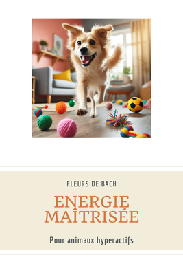 Fleurs de Bach pour animaux hyperactifs