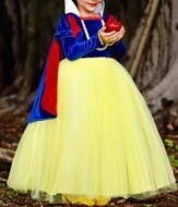 Costume - Snow White Inspired Velvet Size 3/4T
