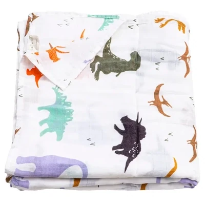 Ali+Oli Muslin Swaddle Lg- Dinosaurs 