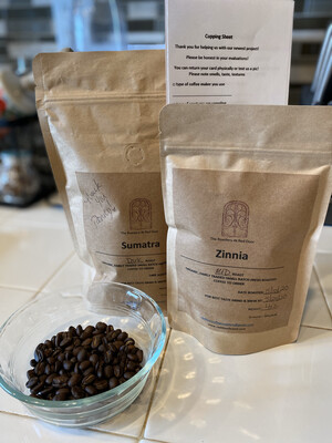Zinnia 8oz