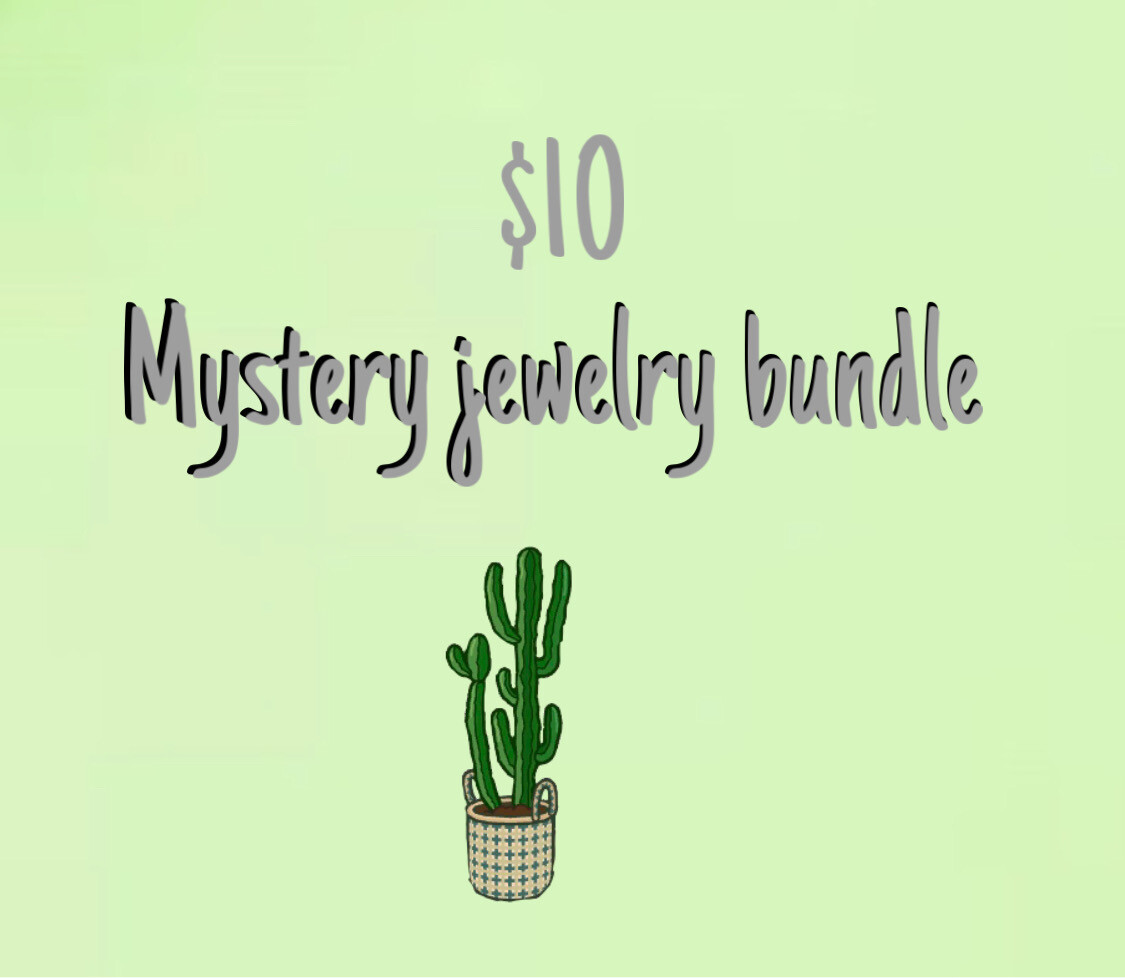 Mystery Jewelry Bundle $10
