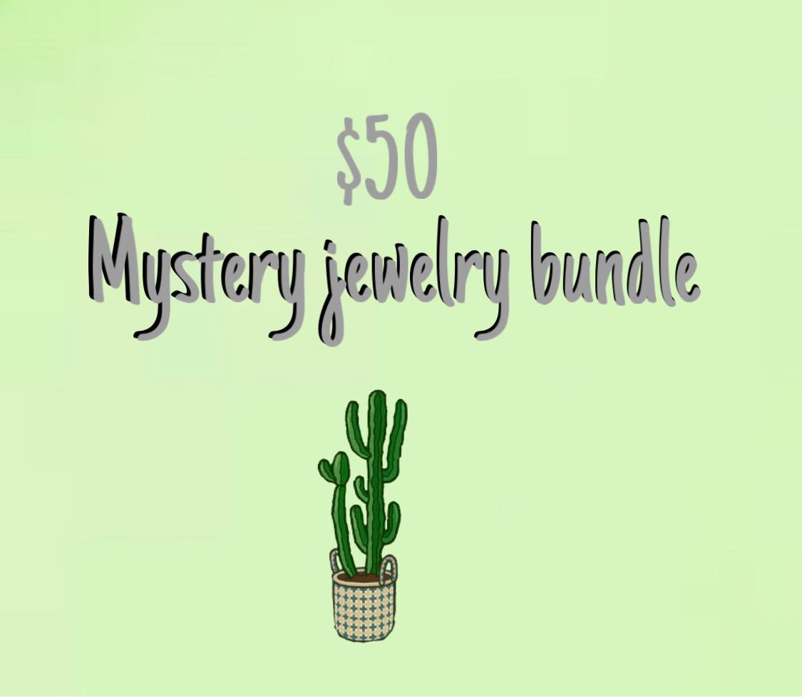 Mystery Jewelry Bundle $50