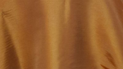 Paprika Shantung 120" Round
