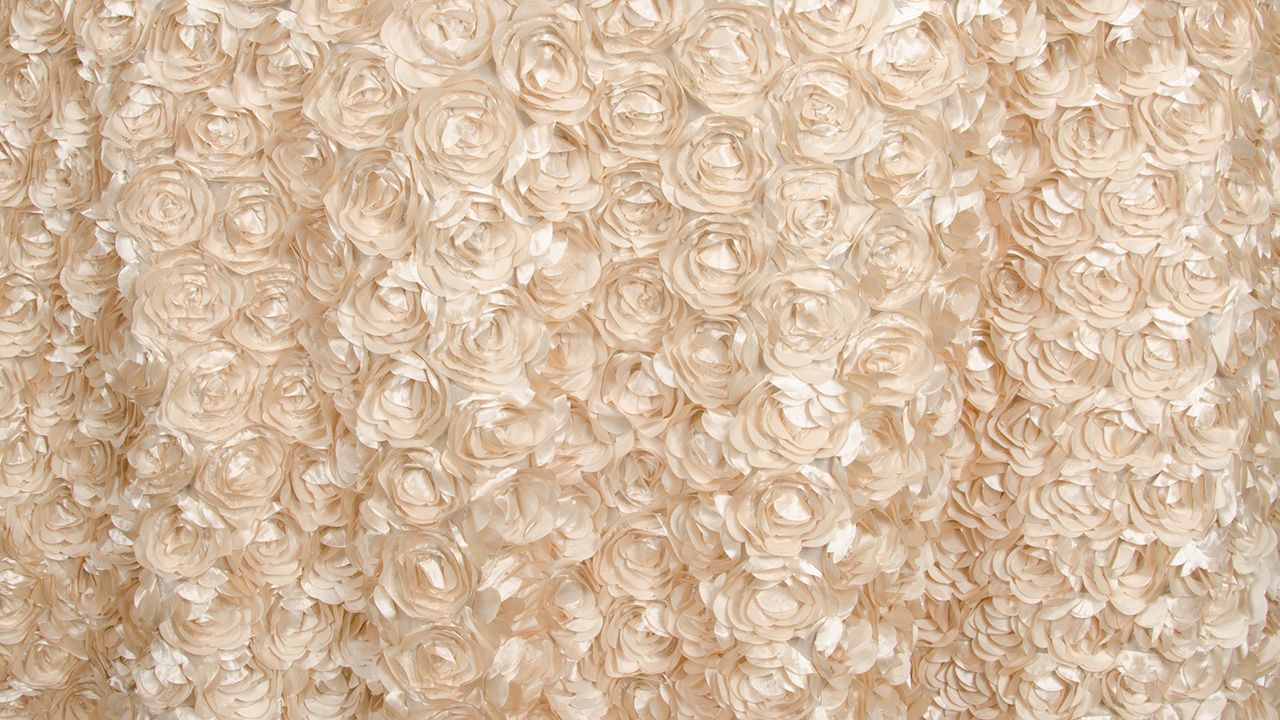 Champagne Loveable 60" x 120"