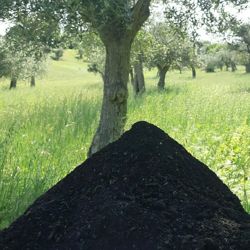 VERDE MIRR 1000L