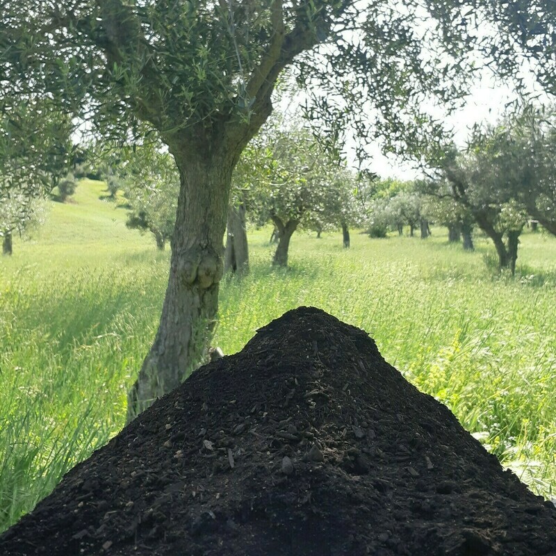 PRATO MIRR 300L