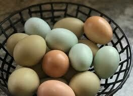 Noni's Eggs