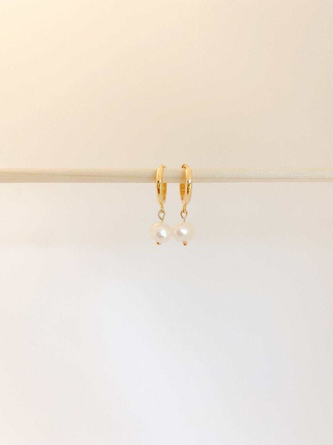 Arlo Hoops