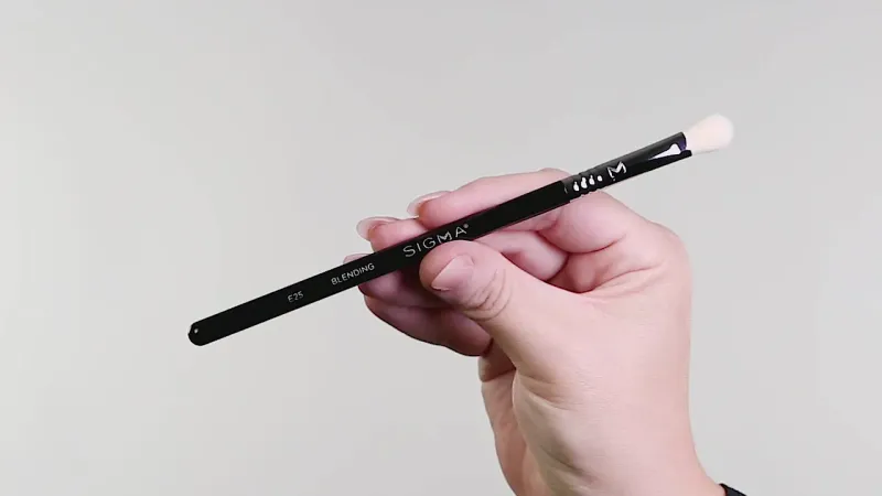Sigma E25 Max Blending Brush #2022