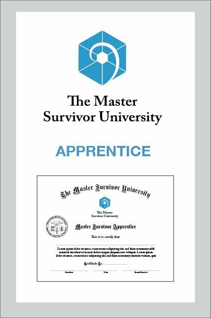 The Master Survivor Apprentice
