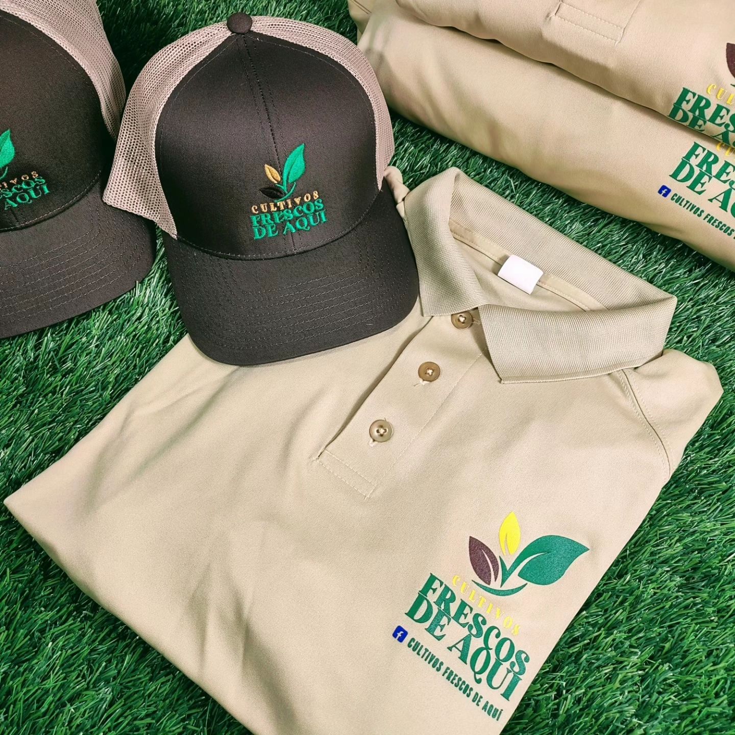 OFERTA POLOS (6) Y GORRAS (6)