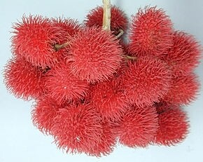 Lychees in a light moringa lime syrup.
V, vi, gf, lf