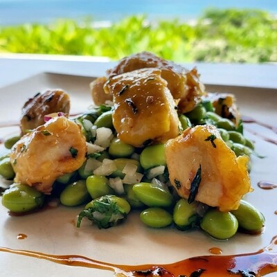 Egg coated chicken teriaki, edamame salad ponzu sauce. Lf