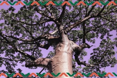 Baobab Café