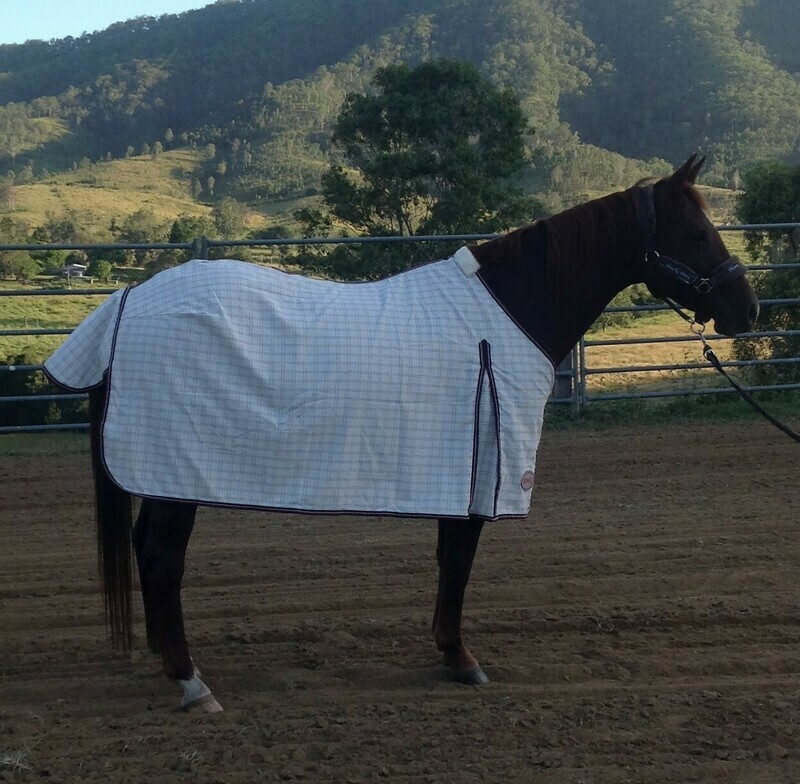 Premium body rug