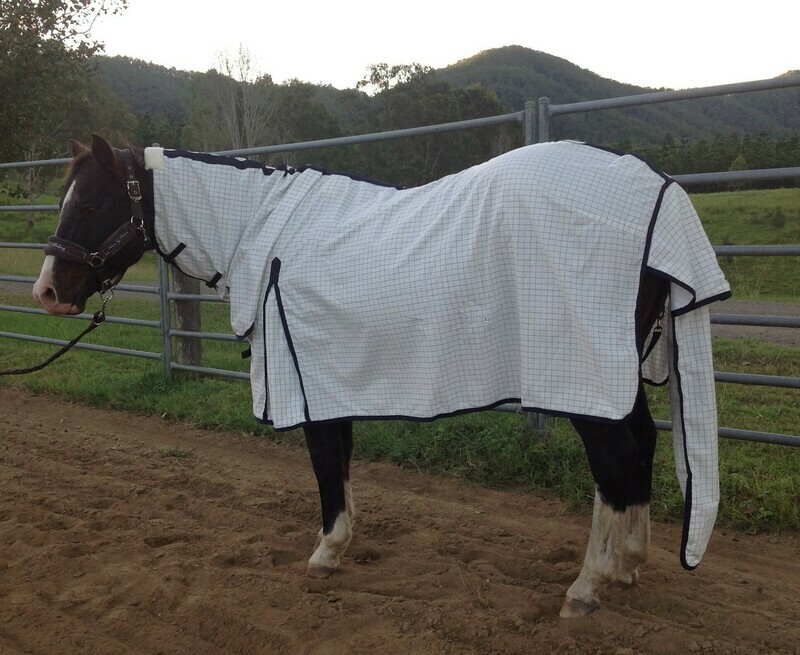 Summer Sheet Lite Combo