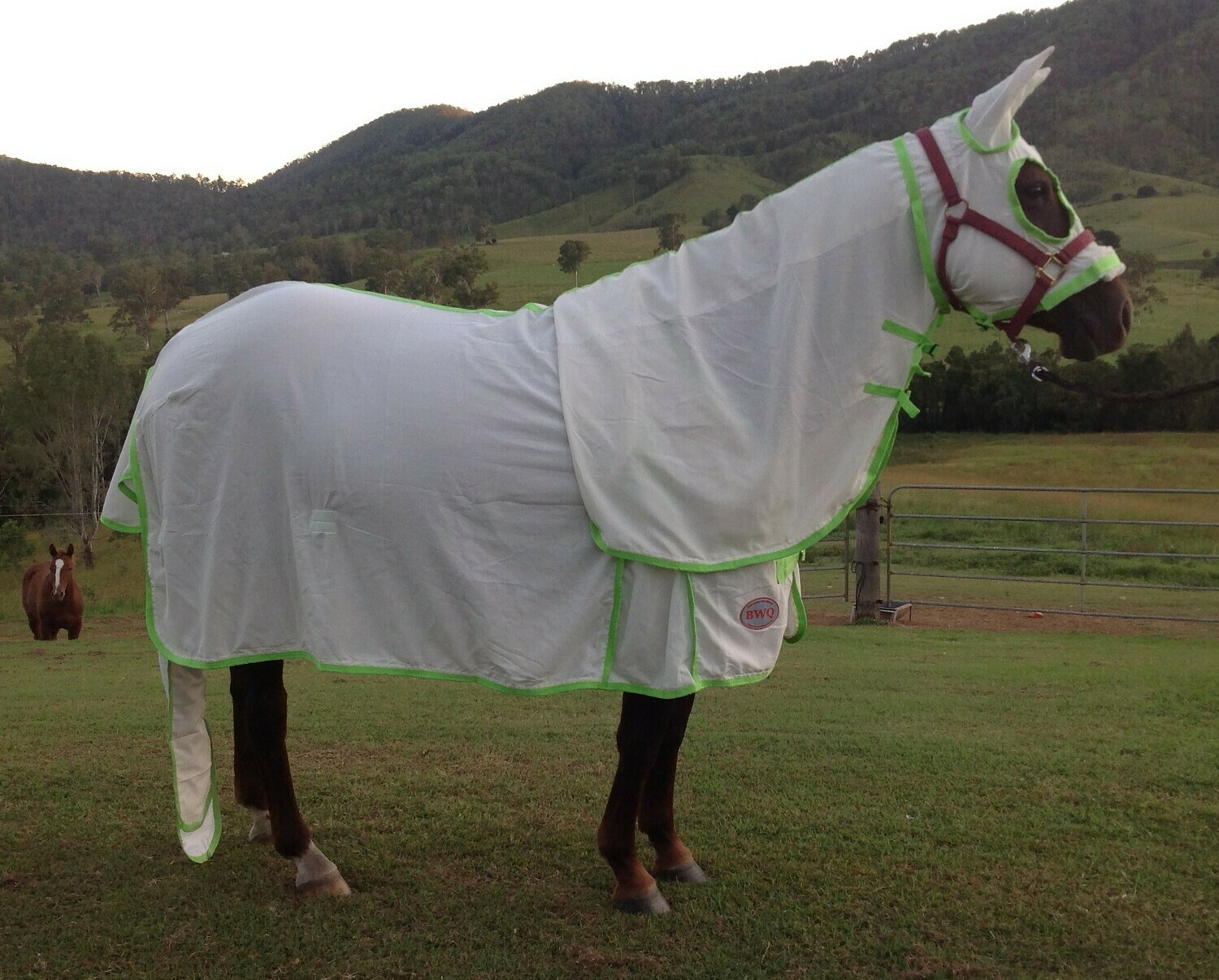 Flag Cloth Combo with Hood Ears Nose protection optional matching tail bag