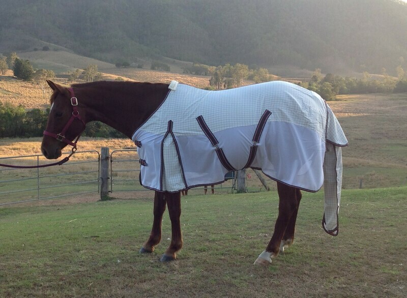 Hybrid Body Sheet
