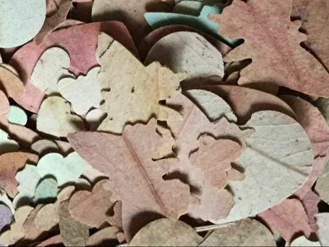 Gum Leaf Eco Confetti