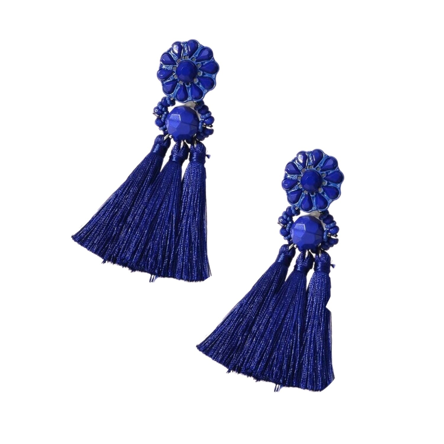 Blue Tassel Earrings