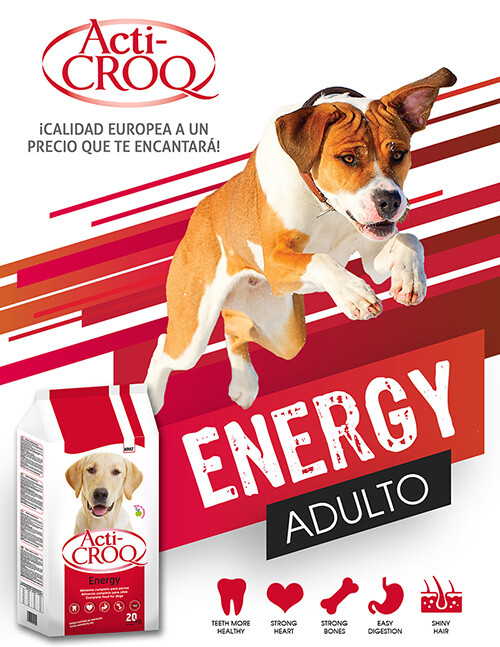 Acti-Croq Energy