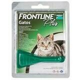 Frontline Gato