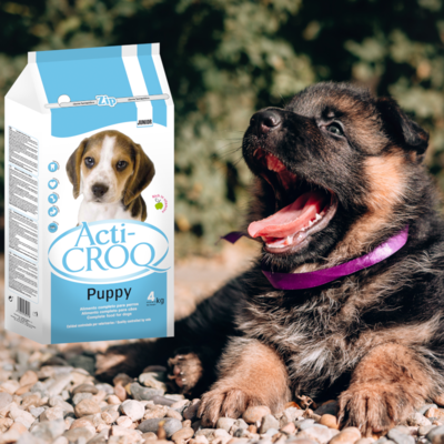 Acti-Croq Puppy Acti-Croq Puppy
