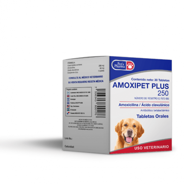 Amoxipet Plus 250