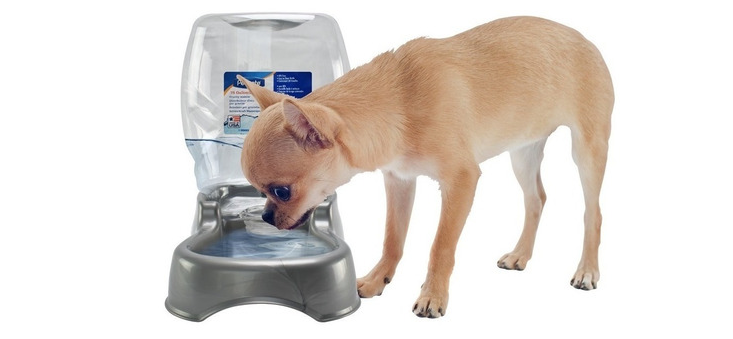 Petmate Cafe Waterer X-small