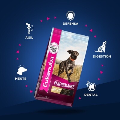 Eukanuba Premium Perfomance 40 libras Eukanuba Premium Perfomance 40 libras