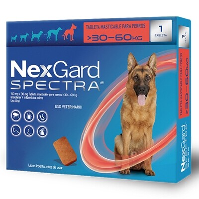 Nexgard Spectra Extra Large