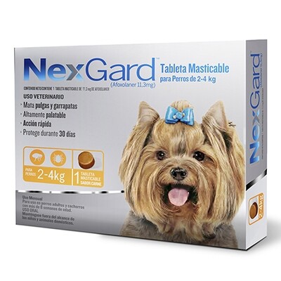 Nexgard Small