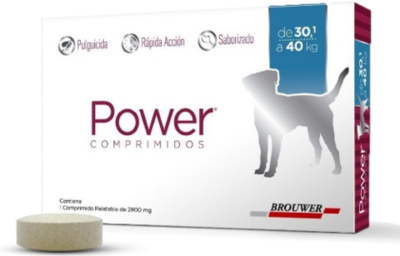 Power Comprimidos Extra Large Reg. Q108