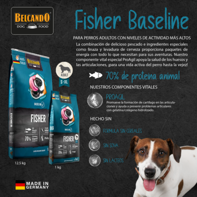 Belcando Baseline Fisher