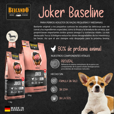 Belcando Baseline Joker GF