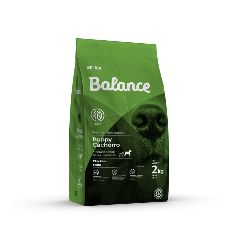 Balance Cachorro