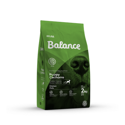 Balance Cachorro